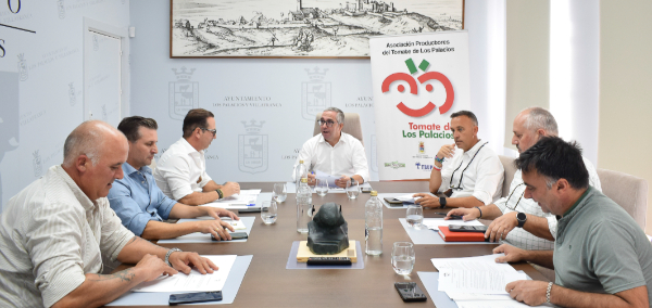 La Asociación de Productores del Tomate de Los Palacios realiza un balance positivo de la primera campaña de 2025, con más de 11,6 millones de kilos c